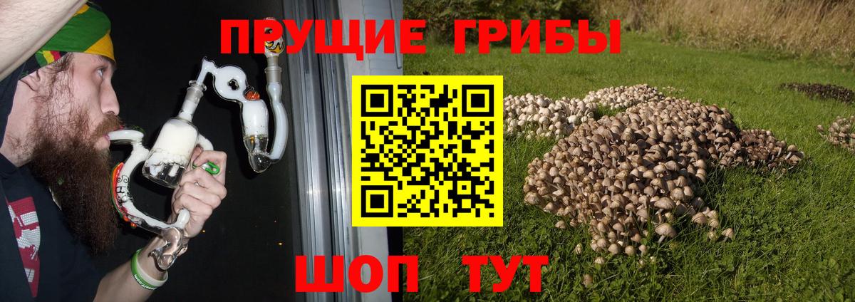 Галлюциногенные грибы ЛСД Абакан